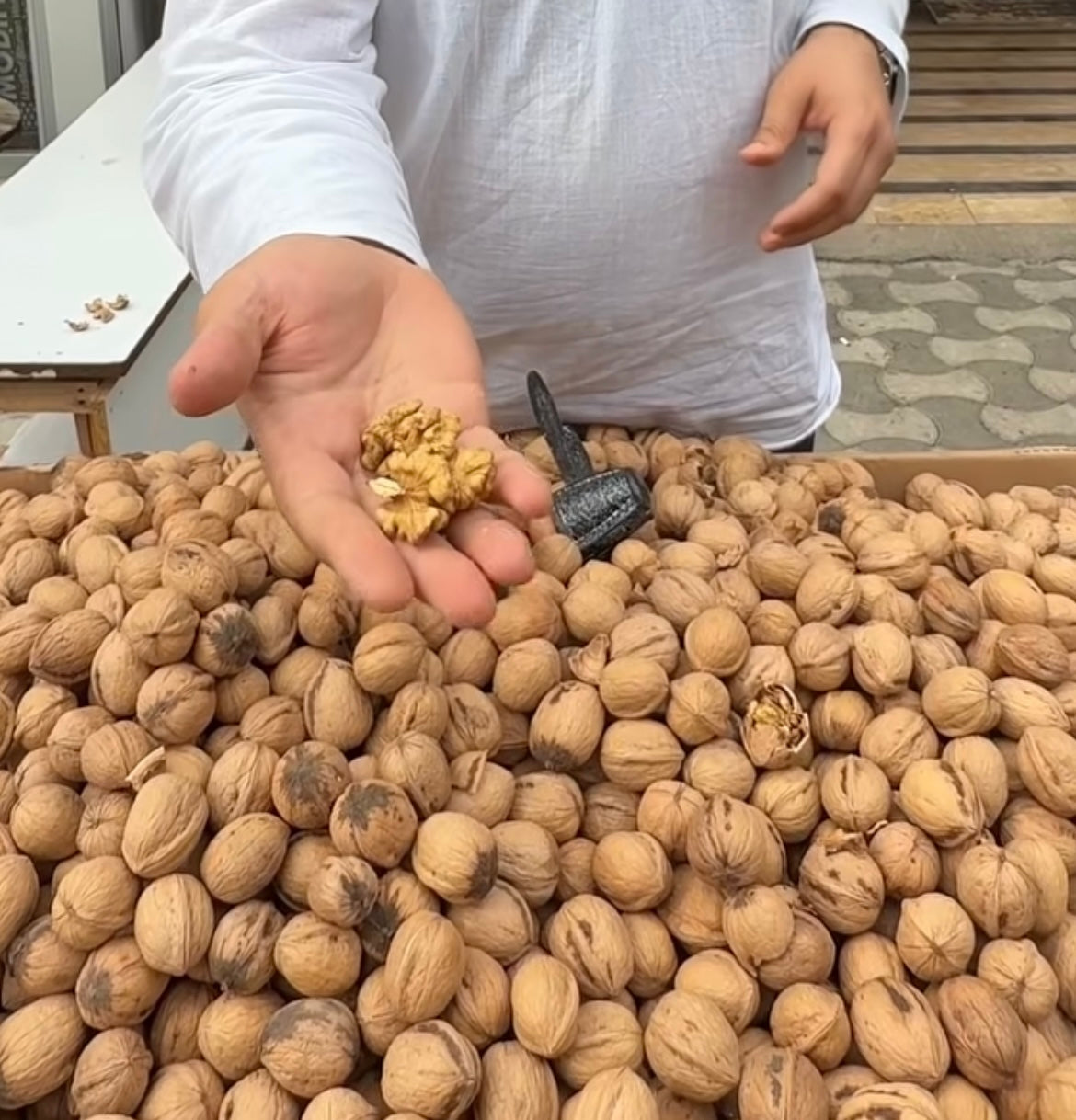 Maraş 18 Ceviz (Yeni Mahsül)